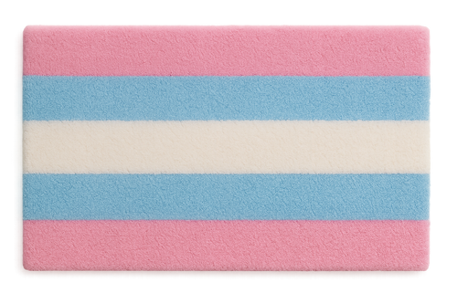 LGBTQ Transgender Pride Rug